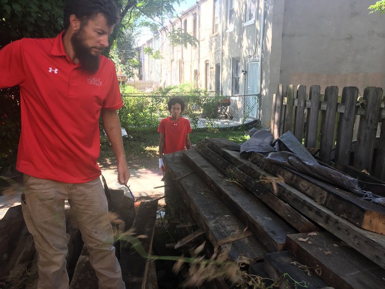 image of rotting woods inspected by workers